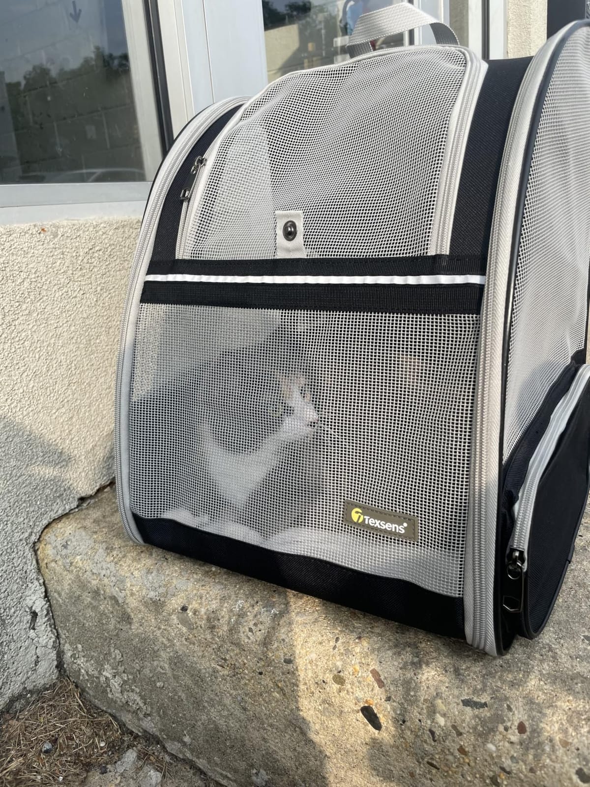 Texsens Innovative Traveler Bubble Backpack Pet Carriers for Cats and Dogs (Black) customer photo 1
