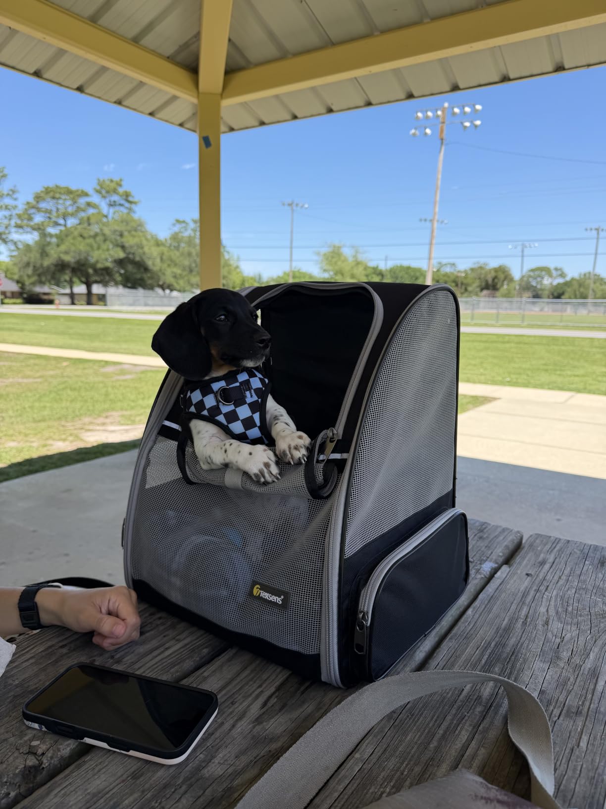 Texsens Innovative Traveler Bubble Backpack Pet Carriers for Cats and Dogs (Black) customer photo 2