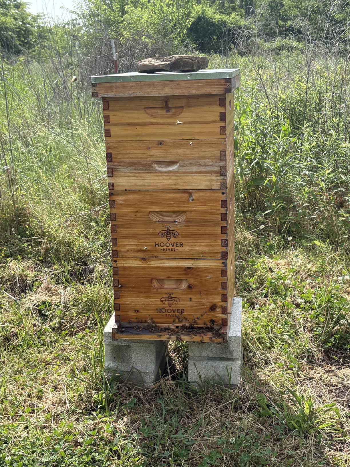 The Original Beeswax Coated Beehive Kit. Includes 2 Deep & 1 Medium Boxes with 10 Wooden Frames & Heavy Wax Coated Foundations. Easy Assembly with Predrilled Holes & Screws (Unassembled) customer photo 1