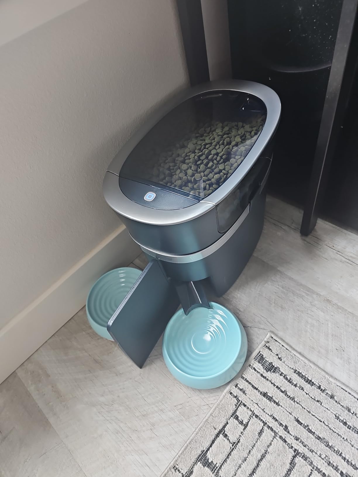 PetSafe Smart Feed Automatic Pet Feeder, 6L/24 Cup, Programmable | Alexa Enabled for Snack Feeding, App Alerts When Low/Empty, Slow Feed Setting, Backup Batteries Keep Meals on Schedule customer photo 1