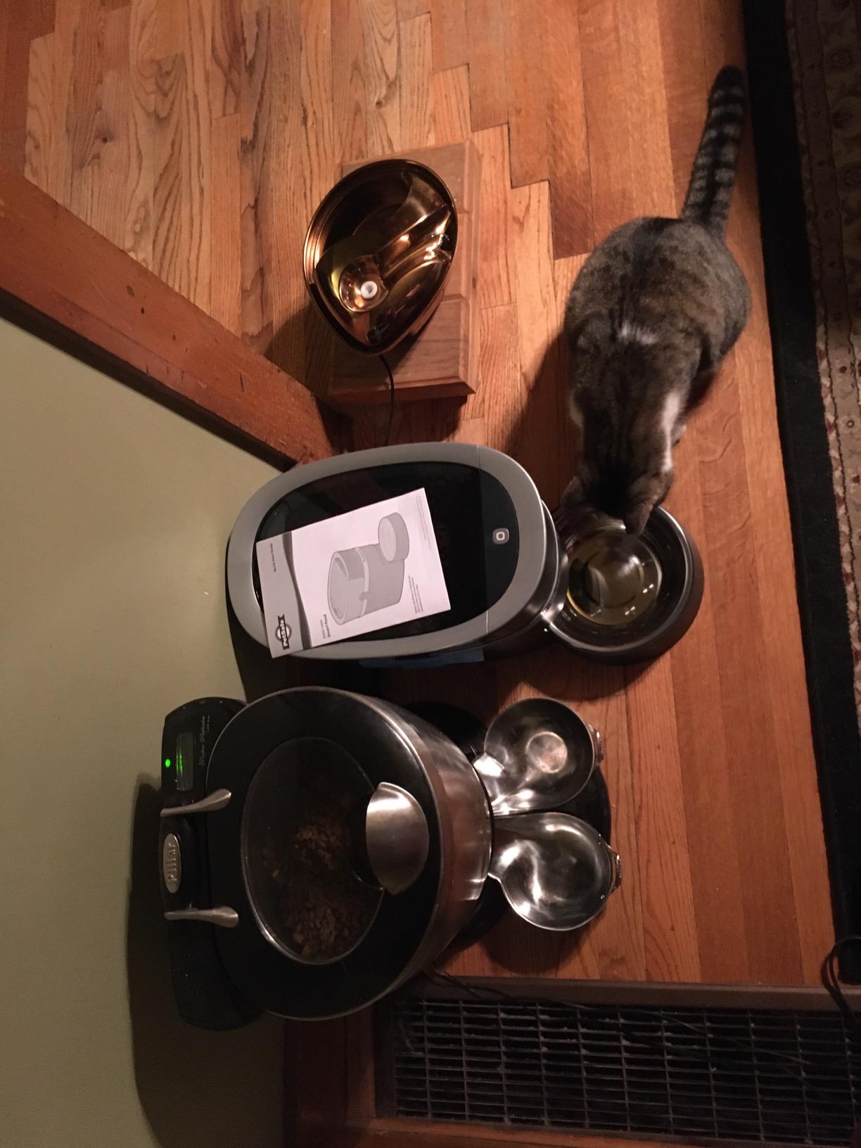 PetSafe Smart Feed Automatic Pet Feeder, 6L/24 Cup, Programmable | Alexa Enabled for Snack Feeding, App Alerts When Low/Empty, Slow Feed Setting, Backup Batteries Keep Meals on Schedule customer photo 2