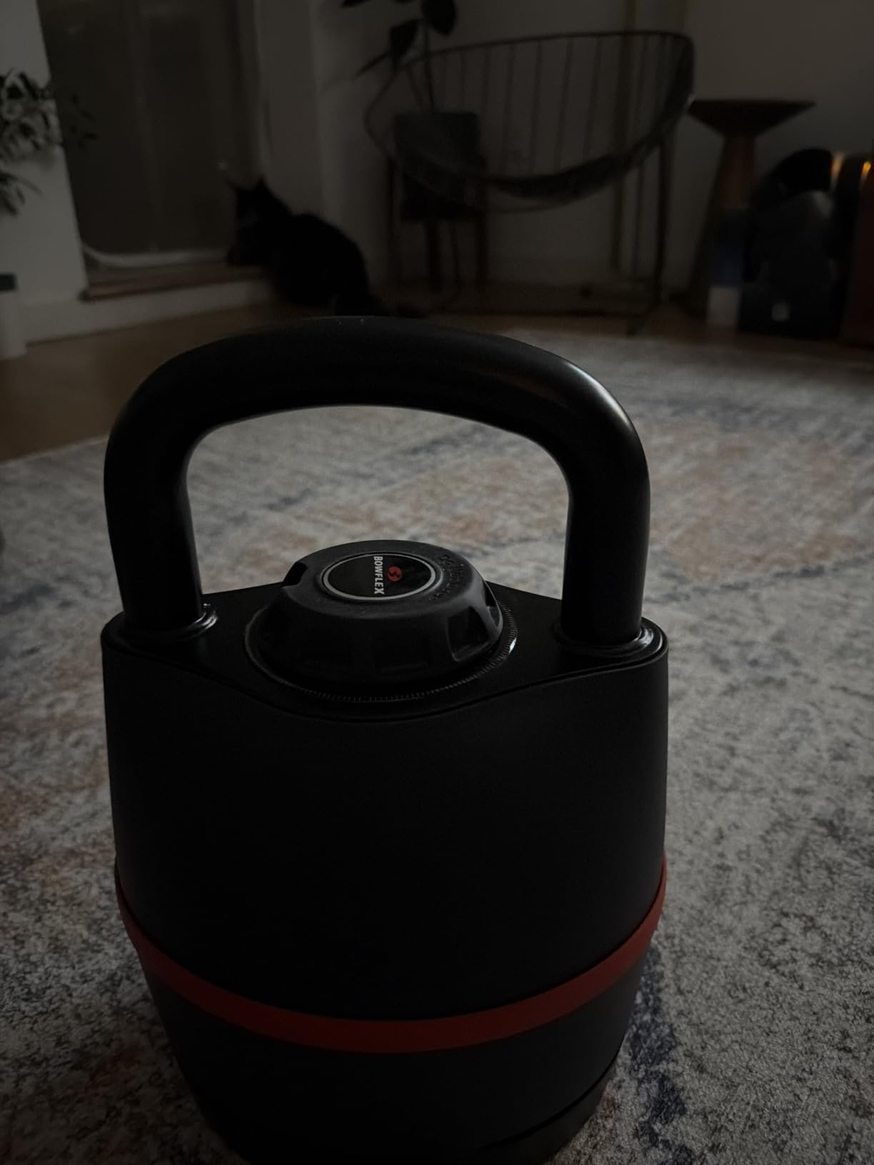BowFlex SelectTech 840 Adjustable Kettlebell customer photo 1