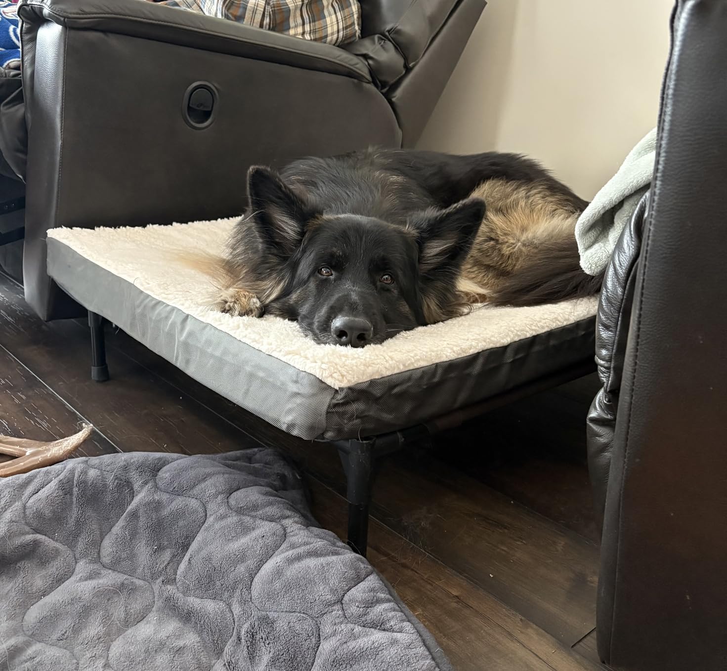 Bedsure Washable Dog Beds Large Sized Dog with Comfy Sherpa, 36x27in Grey | Orthopedic Egg Crate Foam, Comfort Support Flat Rectangle Pet Mat, Non-Slip Bottom, Removable Cover, For Large Breed Up to 55 lbs customer photo 2