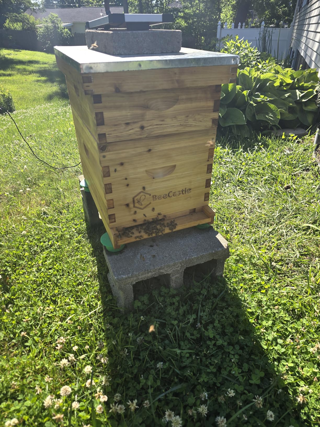 BeeCastle 8 Frame Langstroth Bee Hive Coated with Beeswax Includes Beehive Frames and Waxed Foundations (1 Deep Box & 1 Medium Box) customer photo 2