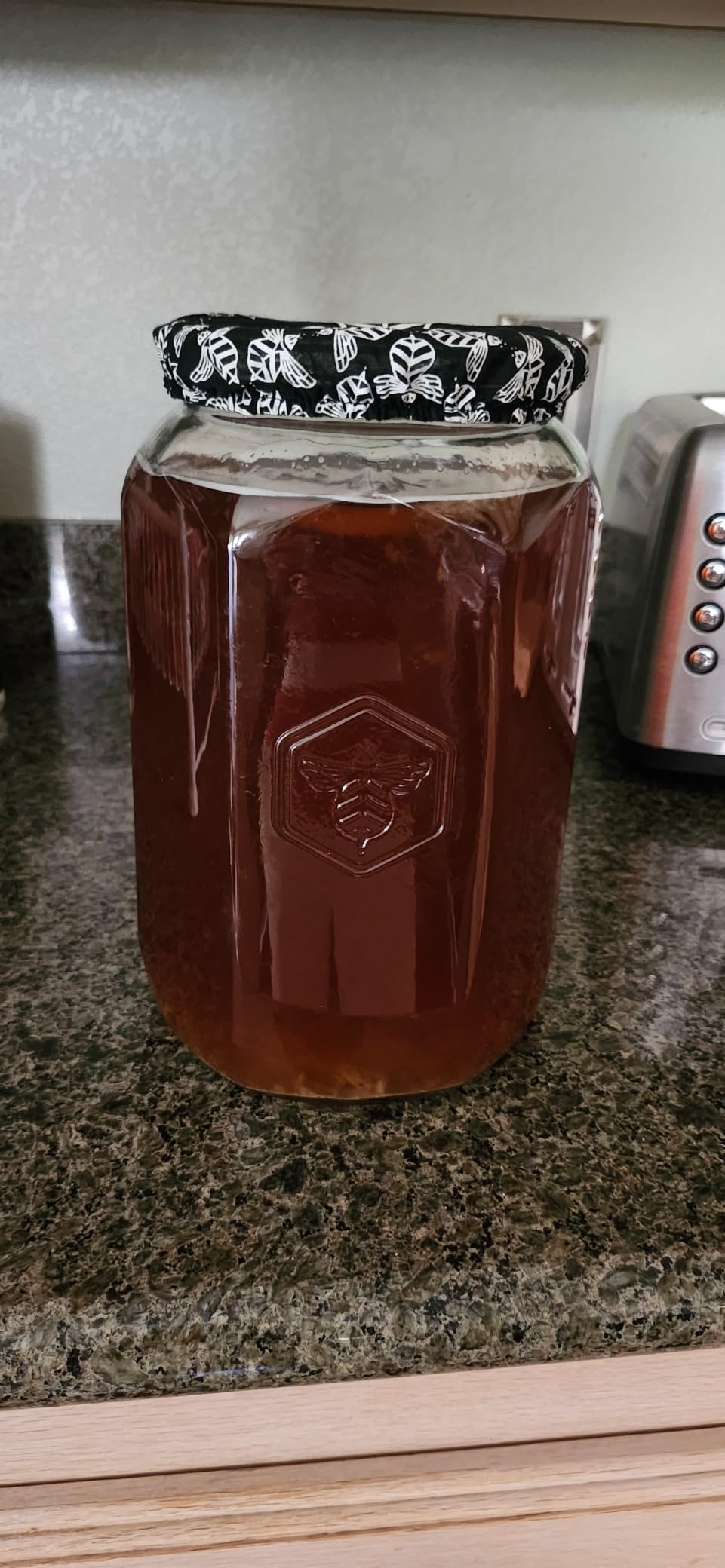 Craft A Brew Home Brewing Starter Kit Kombucha Tea Kit - Home Kombucha Kit - Fermentation Starter with Kombucha SCOBY - 1 Gallon customer photo 1