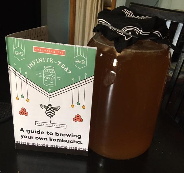 Craft A Brew Home Brewing Starter Kit Kombucha Tea Kit - Home Kombucha Kit - Fermentation Starter with Kombucha SCOBY - 1 Gallon customer photo 2