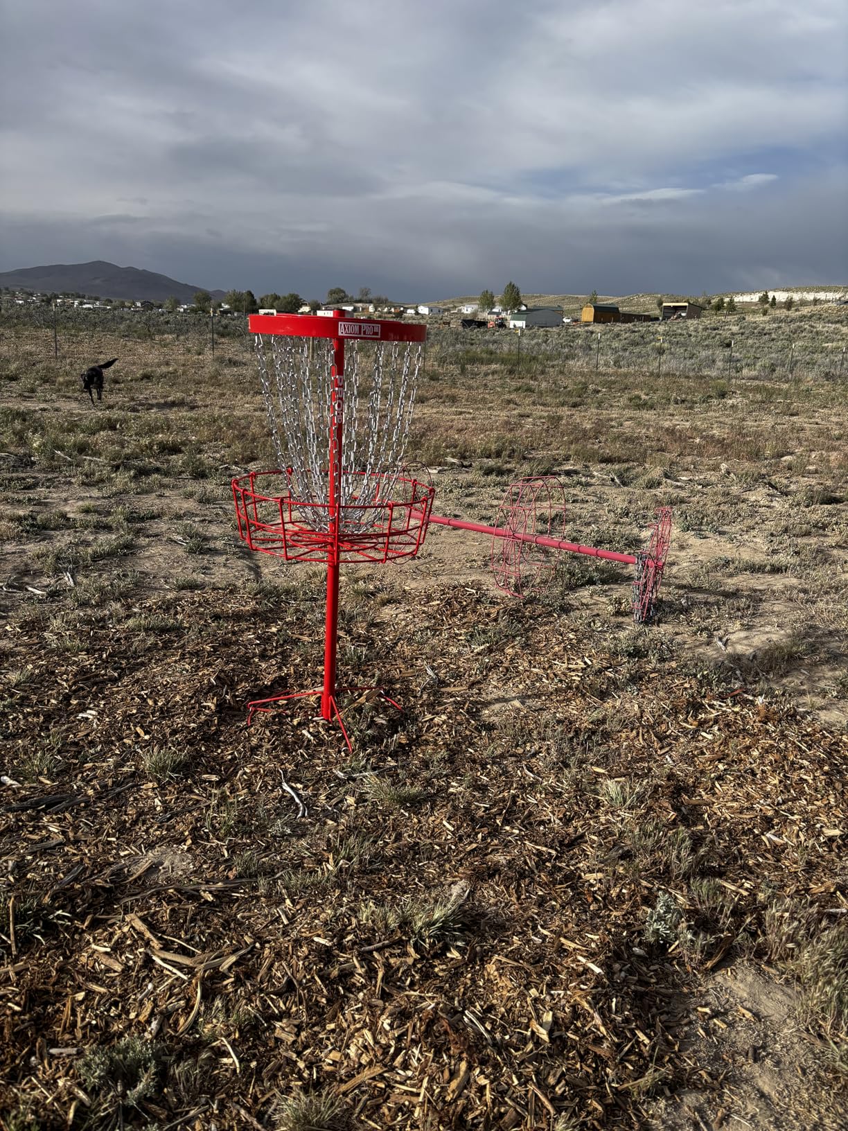 Axiom Discs Pro HD Disc Golf Basket customer photo 1