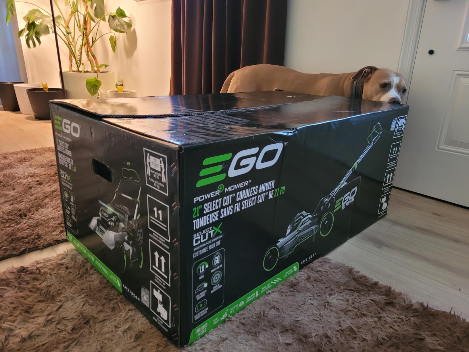 EGO POWER+ Electric Lawn Mower, Self-Propelled Cordless with Select Cut and Touch Drive, Includes 56V 7.5Ah Battery and Rapid Charger - LM2135SP customer photo 1