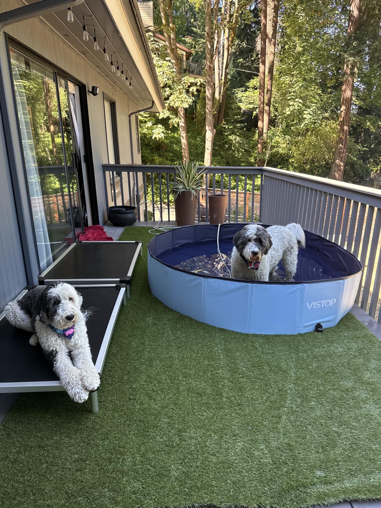 Realistic Deluxe Artificial Grass Synthetic Thick Lawn Turf Carpet (7 FT x 15 FT (105 Square FT)) customer photo 1
