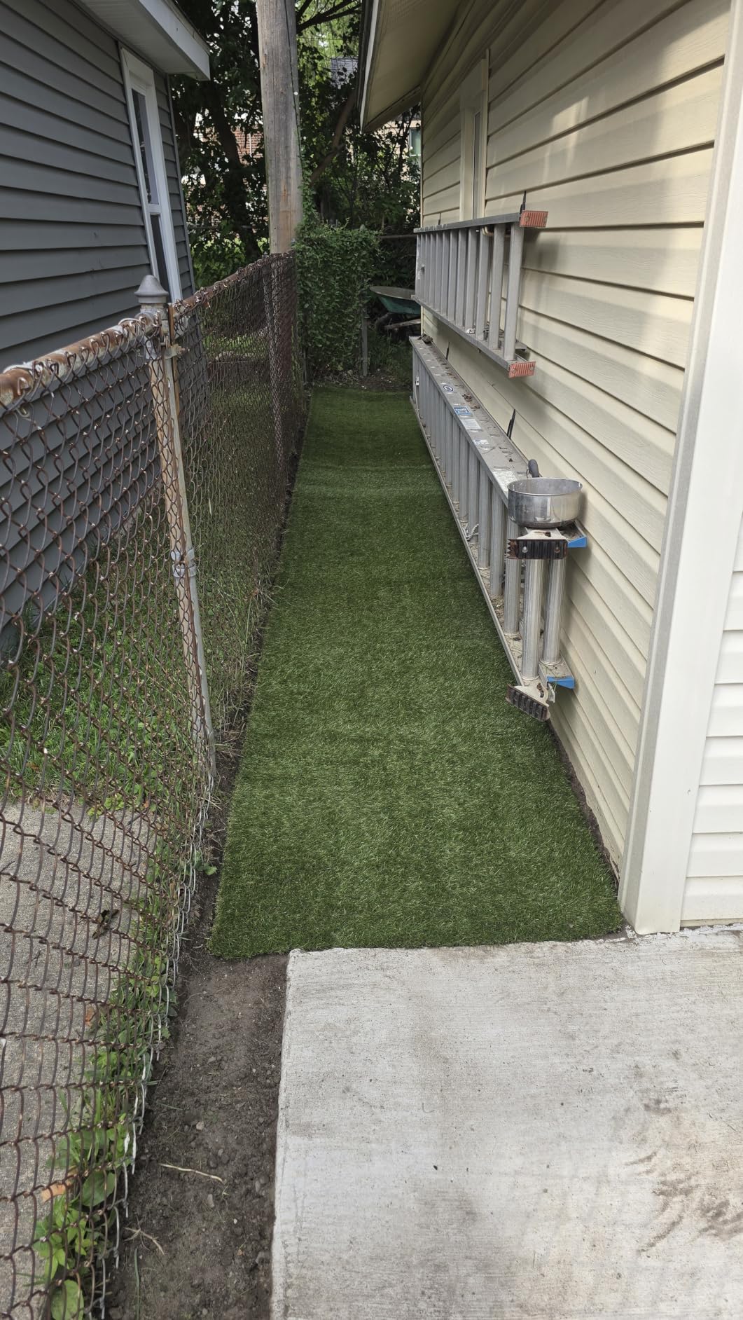 Realistic Deluxe Artificial Grass Synthetic Thick Lawn Turf Carpet (7 FT x 15 FT (105 Square FT)) customer photo 2