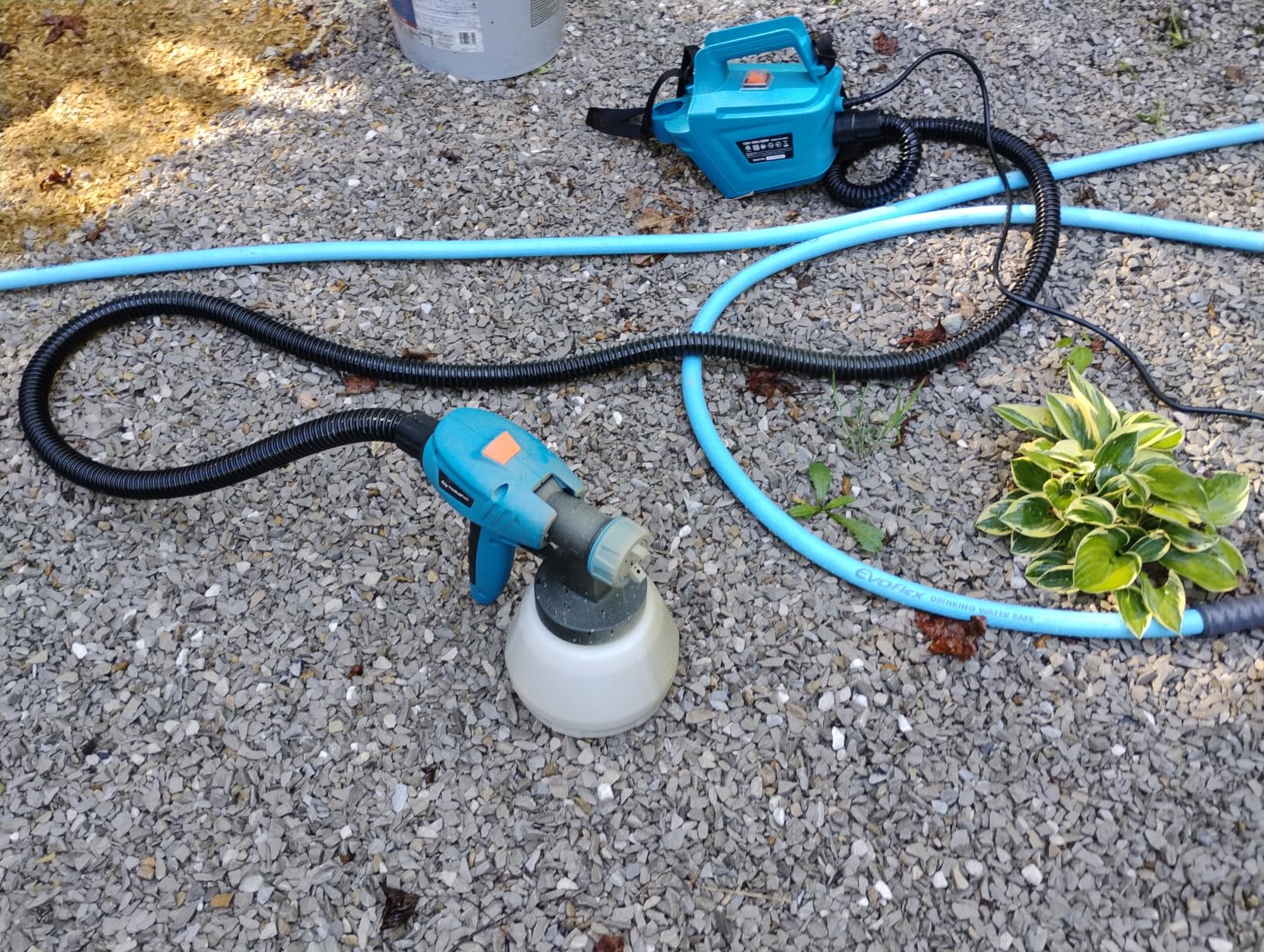 Tilswall Paint Sprayer, 800W HVLP Electric Spray Paint Gun (Blue) | 1200ML/Min, 2.5M Air Hose, 1300ML Detachable Container, 3 Nozzle Sizes & 3 Patterns, Power Painter for Furniture, Cabinet customer photo 1