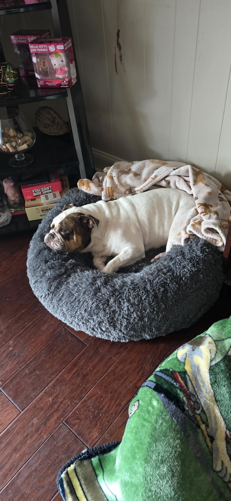 Bedsure Calming Dog Bed Medium Size Dog Donut Washable Pet Bed,30ins Camel | Oprah Daily Sleep Award,Fluffy Faux Fur Round Cuddler,Anti-Slip Bottom,Anti-Anxiety,Deep Sleep for Pets Up to 45 Lbs customer photo 2
