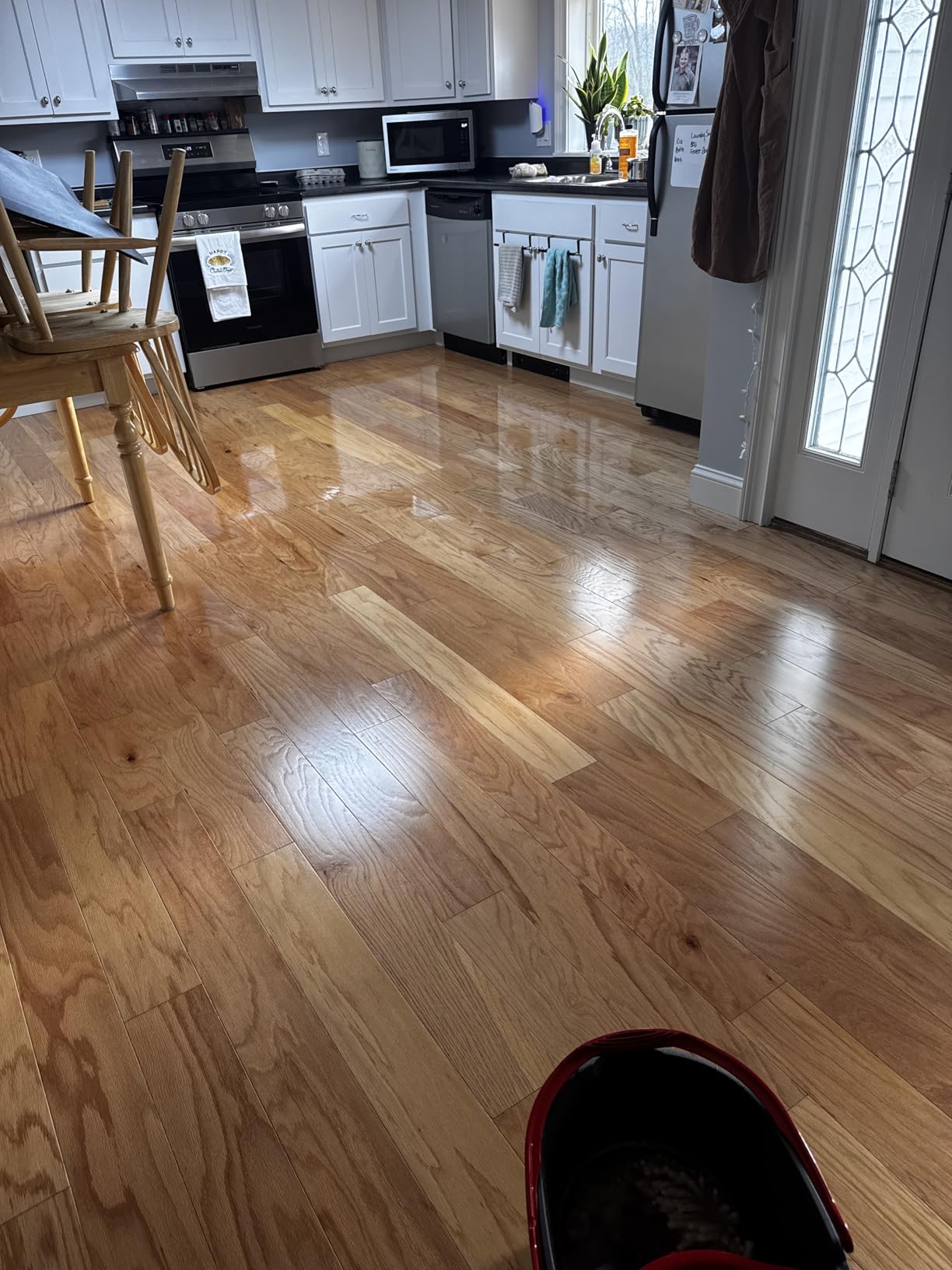 Aunt Fannie's Hardwood Floor Cleaner, Vinegar-Free, Lemon, 32 oz, Pack of 1 customer photo 2