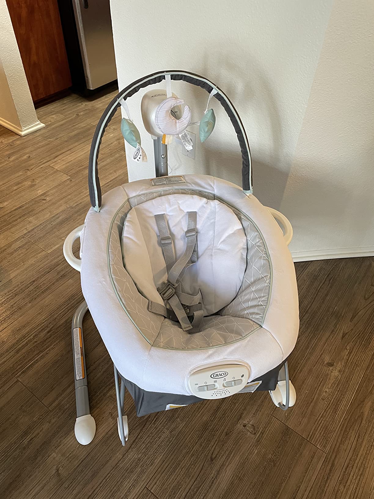 Graco Soothe 'n Sway LX Portable Baby Swing and Baby Bouncer, Multi Direction Seat, 2 Speed Vibration, Derby customer photo 2