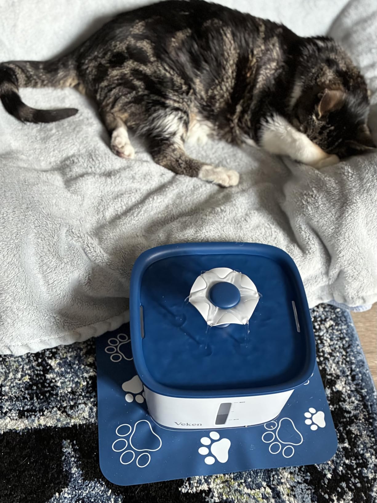 Veken Innovation Award Winner 95oz/2.8L Cat Water Fountain | Automatic Pet Fountain Dog Water Dispenser with Replacement Filters & Silicone Mat, Gift for Cats, Dogs (Grey, Plastic) customer photo 1