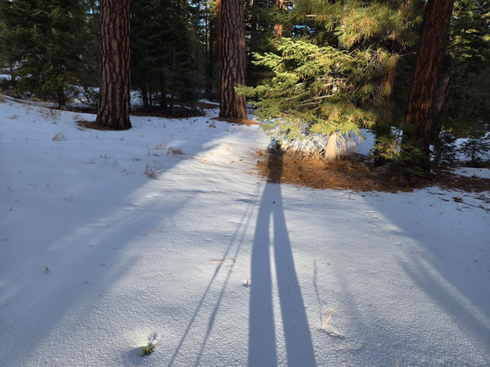 G2 21/25/30/36 Inches Light Weight Snowshoes with Trekking Poles, Tote Bag, Special EVA Padded Ratchet Binding, Heel Lift, Toe Box customer photo 2