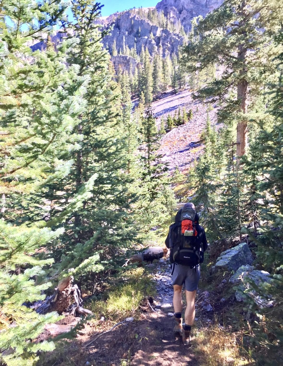 Teton 55L Scout Internal Frame Backpack for Hiking, Camping, Backpacking, Travel, Rain Cover Included, Huckleberry customer photo 1