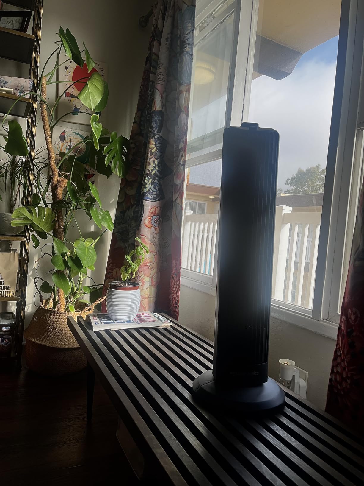 Amazon Basics 40