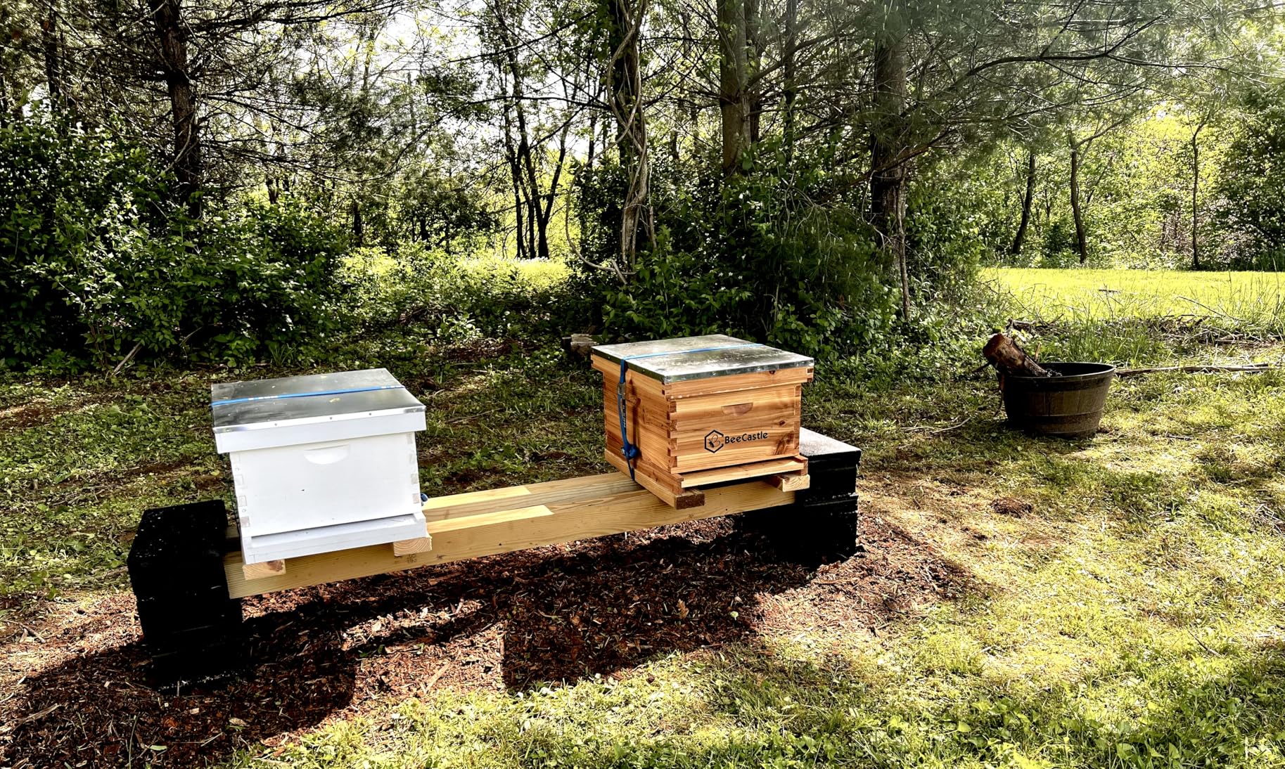 BeeCastle 10-Frame Bee Hives and Supplies Starter Kit, Beehive Kit Dipped in Beeswax, Bee Keeping Supplies-All Beginners Kit Includes Beekeeping Supplies Tool Set and Bee Suit customer photo 1