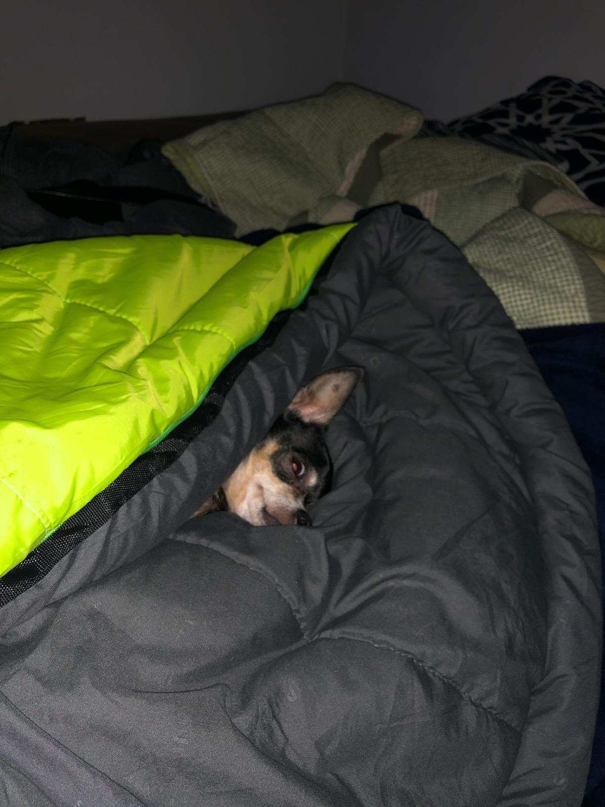 Teton LEEF Lightweight Mummy Sleeping Bag for Camping, Hiking, Backpacking; Cold Weather Option, Compression Sack Included customer photo 1