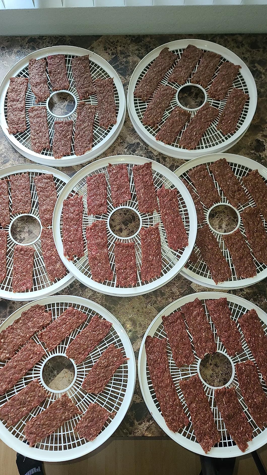 Large Capacity Jerky Gun Kits, Jerky Cannon, Stainless Steel Jerky Maker, Jerky Shooter, Meat Gun, Beef Deer Jerky Making Gun Kit, Gifts for Women Men customer photo 1
