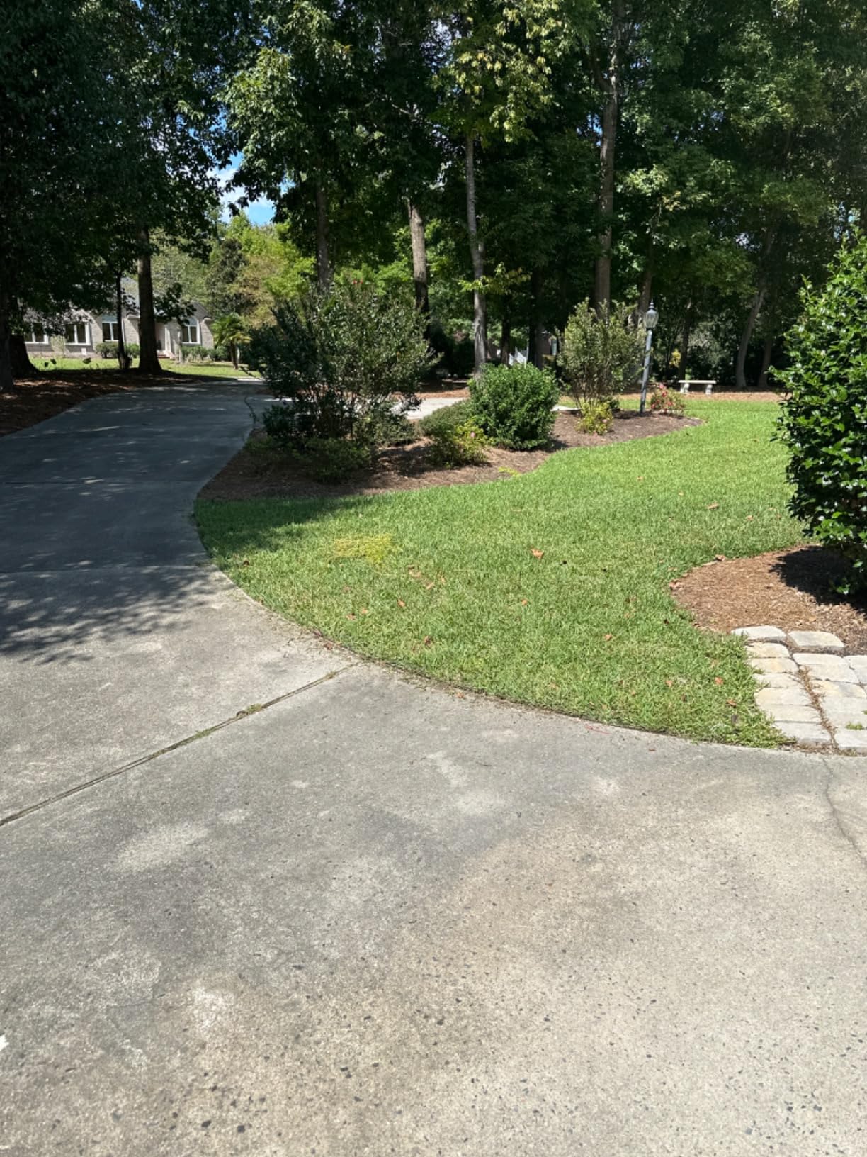 CRAFTSMAN Cordless Edger Lawn Tool, 20V MAX Battery, Charger and Blade Included, Lightweight Lawn Edger, 7.5 in Cutting Width, 1000 Ft of Edging per Charge (CMCED400D1) customer photo 2