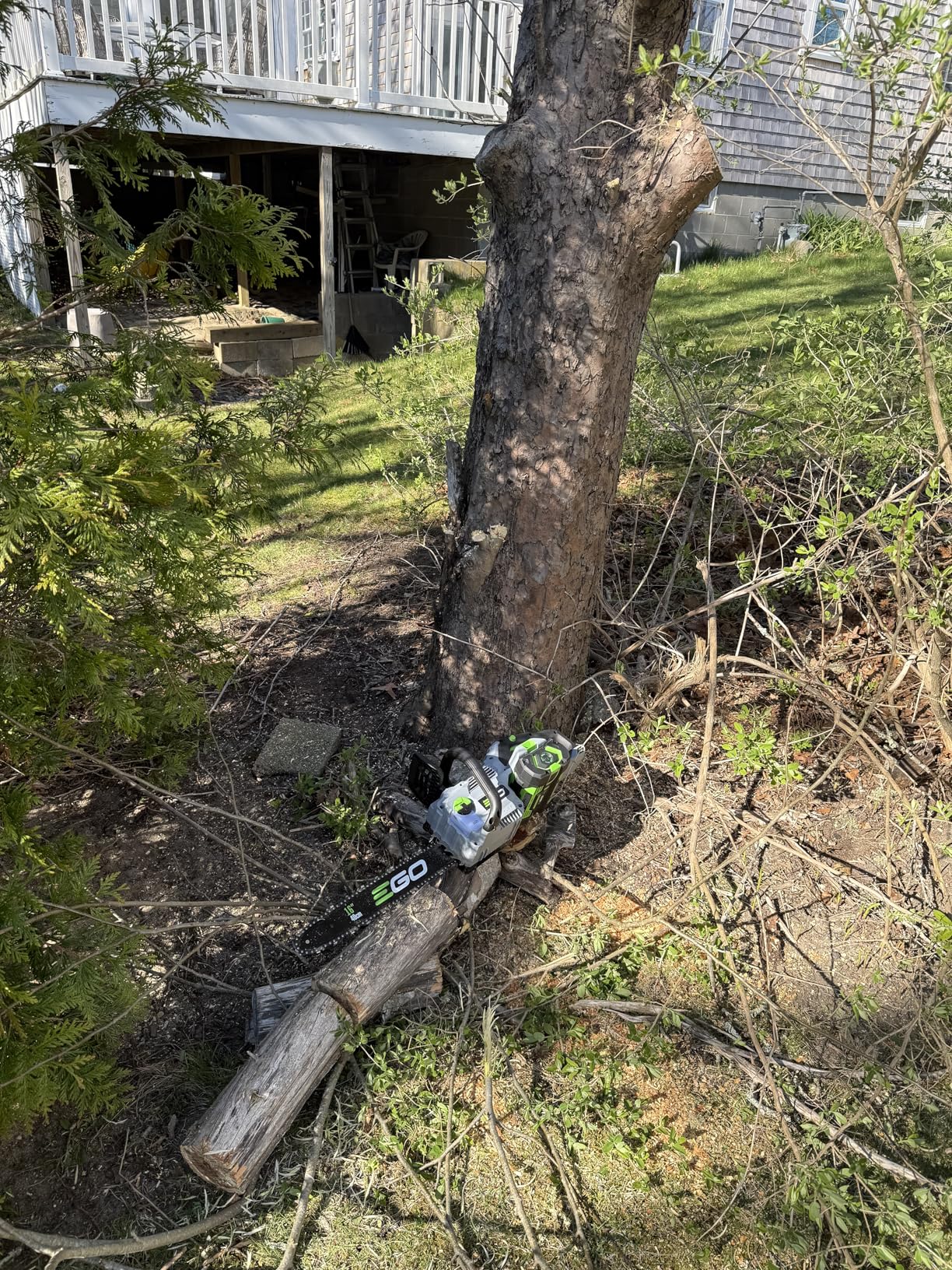 EGO POWER+ Chain Saw, 16