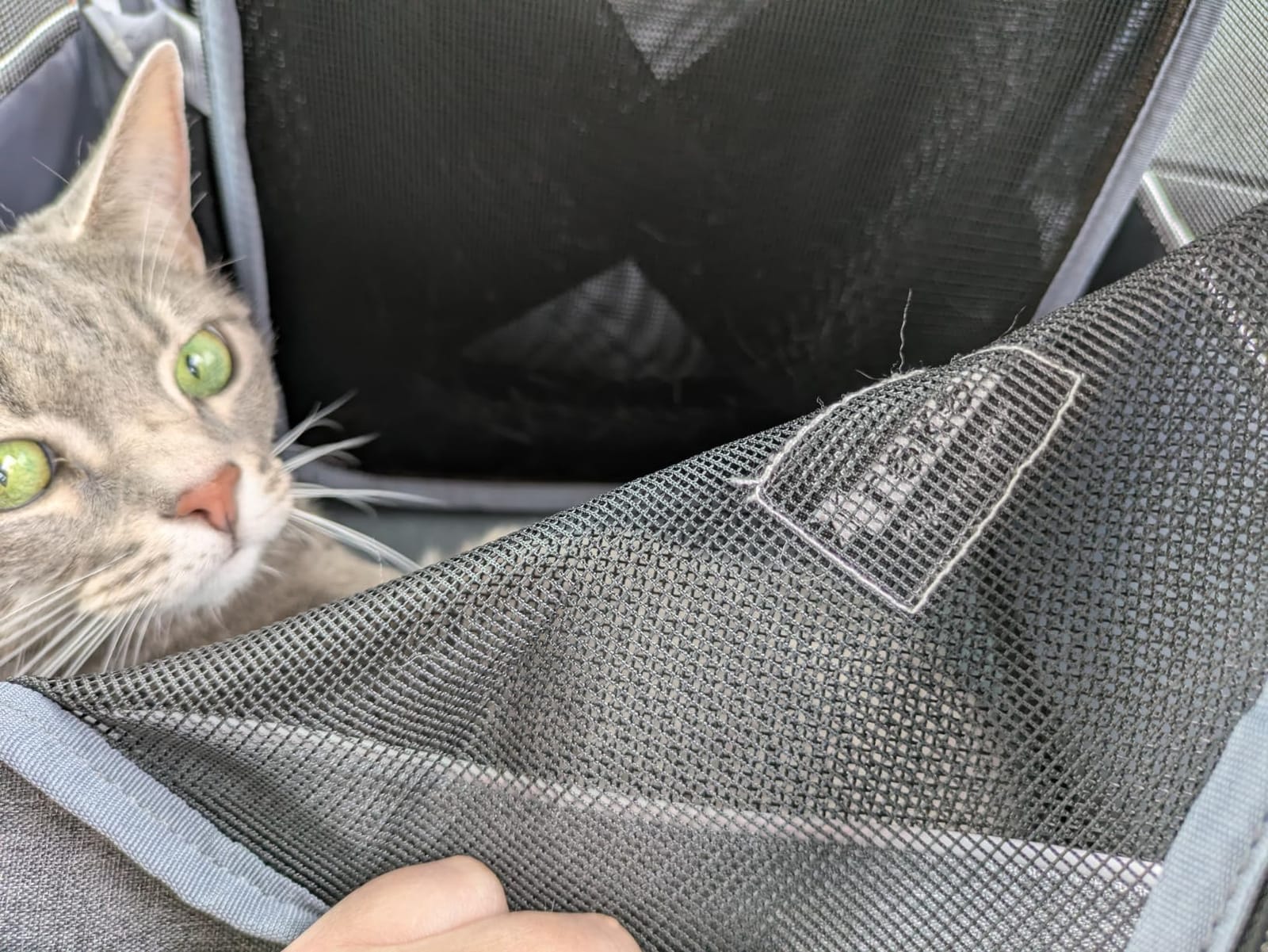 Cat Carrier Backpack, Expandable Pet Carrier with Sun Shade & Full Front Opening, Breathable Mesh Backpack for Small Dogs & Medium Cats Up to 18 Lbs, Foldable for Hiking, Camping (Grey) customer photo 2