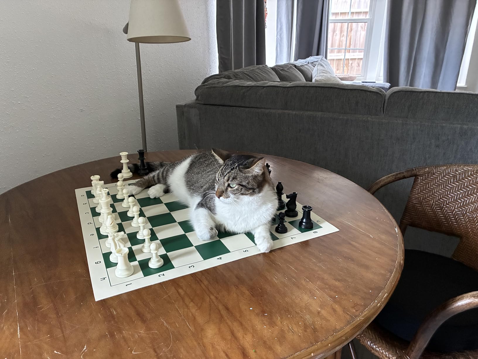 U.S. Chess Quiver Chess Set Combination - Triple Weighted customer photo 1