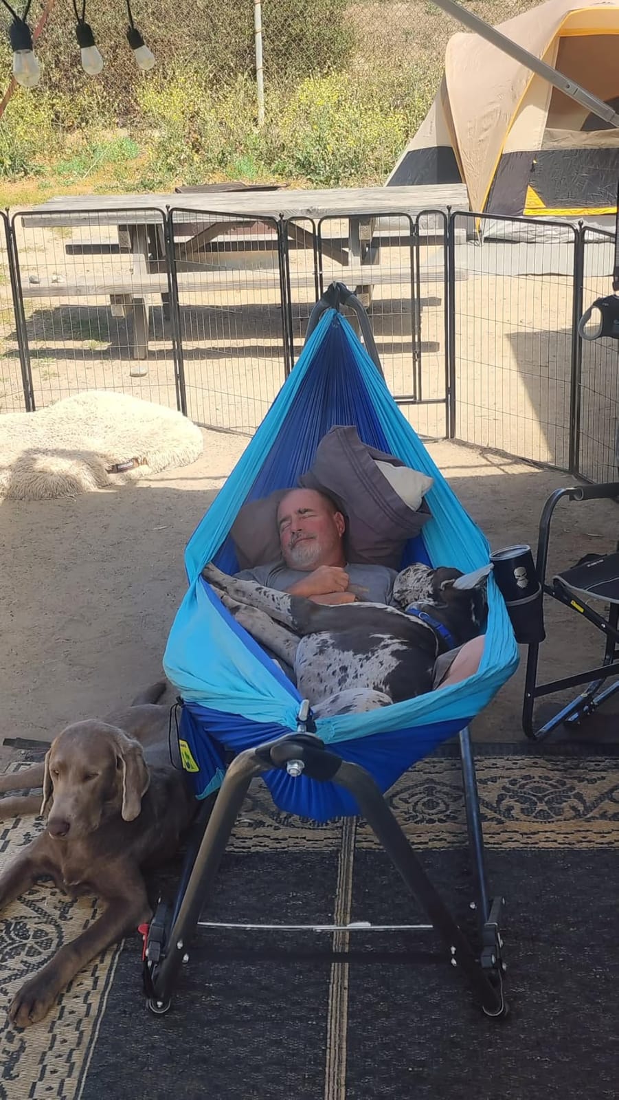 Durable Hammock 400 lb Capacity, Nylon Camping Hammock Chair - Double or Single Sizes w/Tree Straps and Attached Carry Bag - Portable for Travel/Backpacking/Beach/Backyard (Medium, Blue & Light Blue) customer photo 2