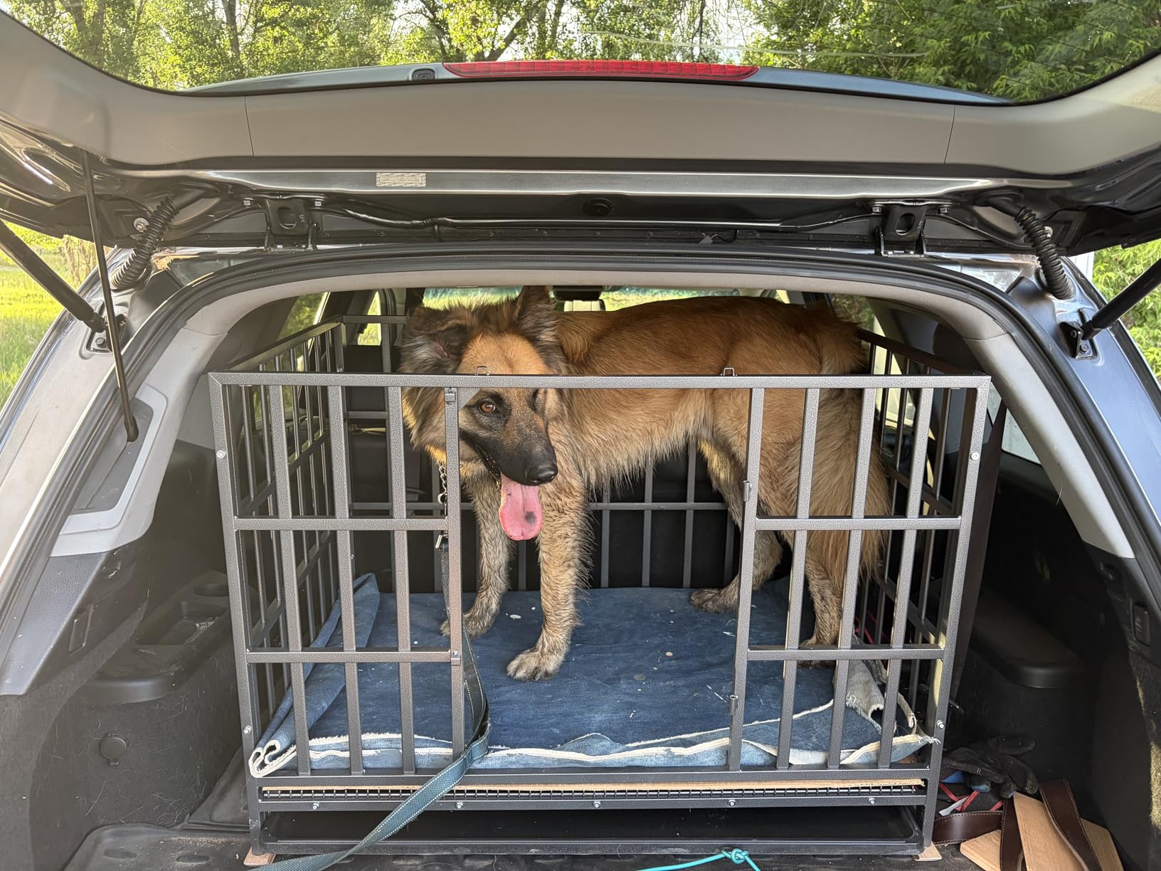 Hiwokk 48 Inch Heavy Duty Dog Crate, Indestructible Escape-Proof Dog Kennel for High Anxiety Large Dogs, Strong Metal Pet Cage with Double Doors, Lockable Wheels & Removable Tray, XL XXL XXXL customer photo 2