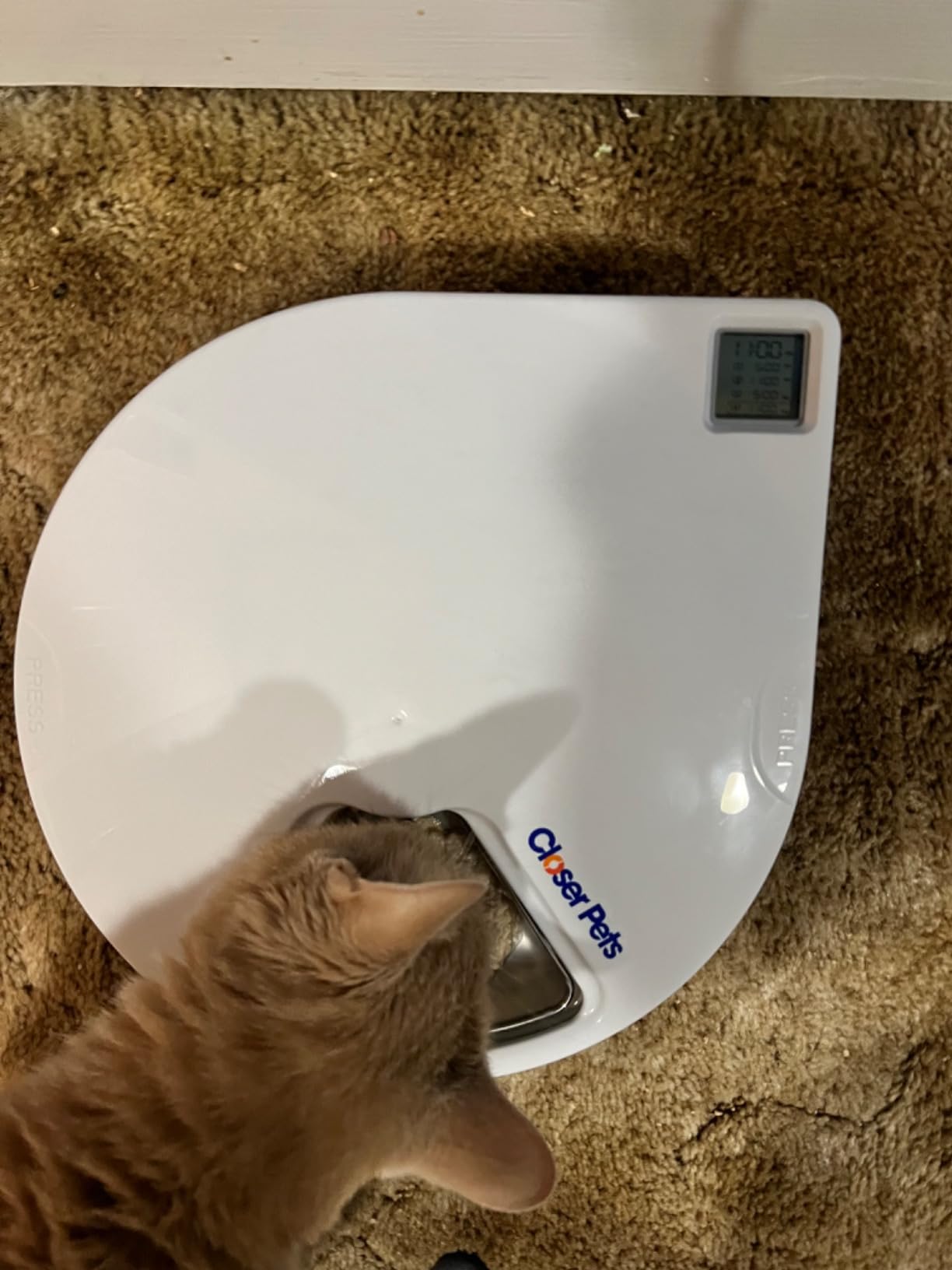 Closer Pets C500 Five-Meal Automatic Pet Feeder with Stainless Steel Bowls customer photo 2