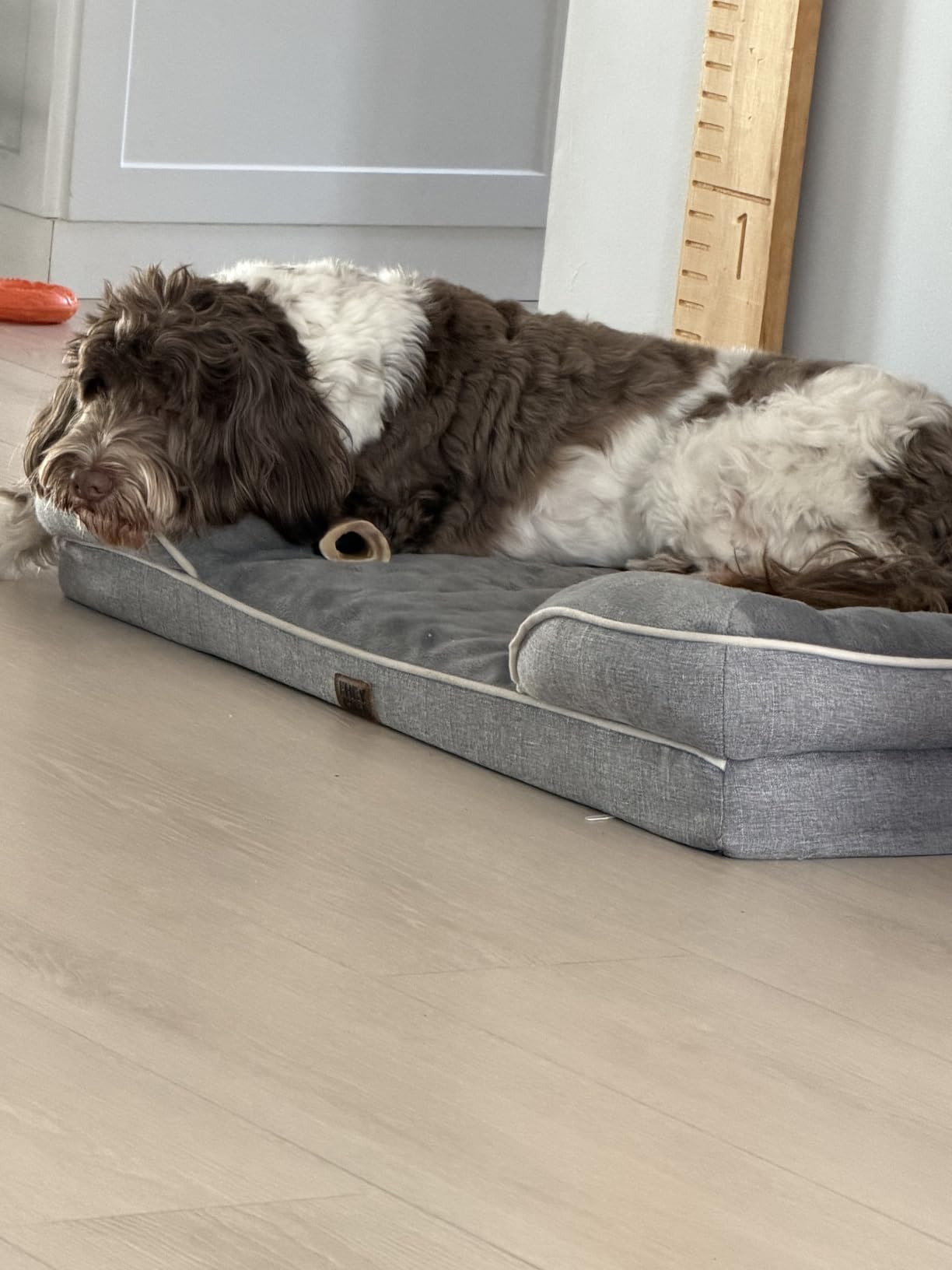 EHEYCIGA Orthopedic Dog Beds Large Sized Dog, Waterproof Memory Foam Pet Bed with Sides, Non-Slip Bottom Large Pet Bed with Washable Removable Cover, Grey customer photo 2
