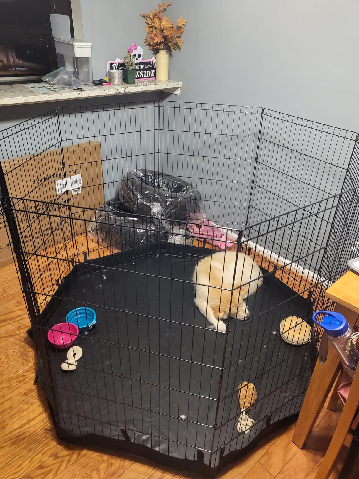 PJYuCien Puppy Playpen with Bottom Pad and Door, 8 Panels 24 H, Black | 24W, Dual-function Pad, For Small Pets, Foldable Octagonal Pen, Versatile, Indoor & Outdoor, Backyard, Protects Floors customer photo 2