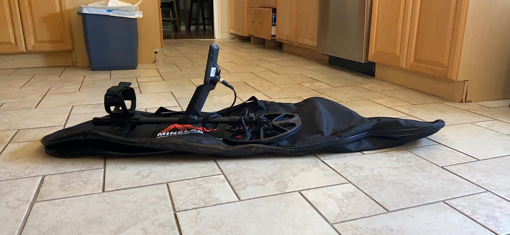 MINELAB Equinox 900 Multi-Frequency Collapsible Metal Detector for Adults with EQX 11
