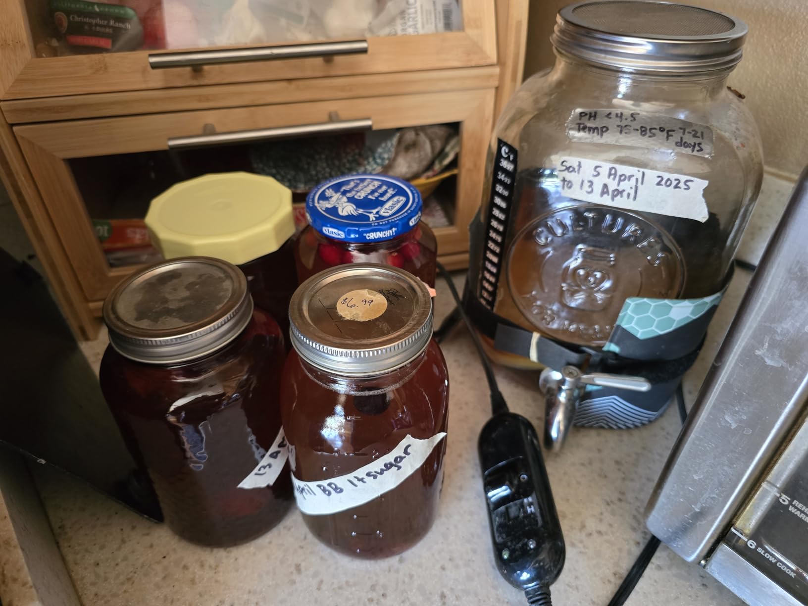 Cultures for Health Continuous Kombucha Brewing Jar with Spigot | 5 Liter Glass Jar with Spout for DIY Fermentation | Long Term Kombucha SCOBY Hotel Jar | Daily Kombucha Tea Probiotic Drink Dispenser customer photo 1