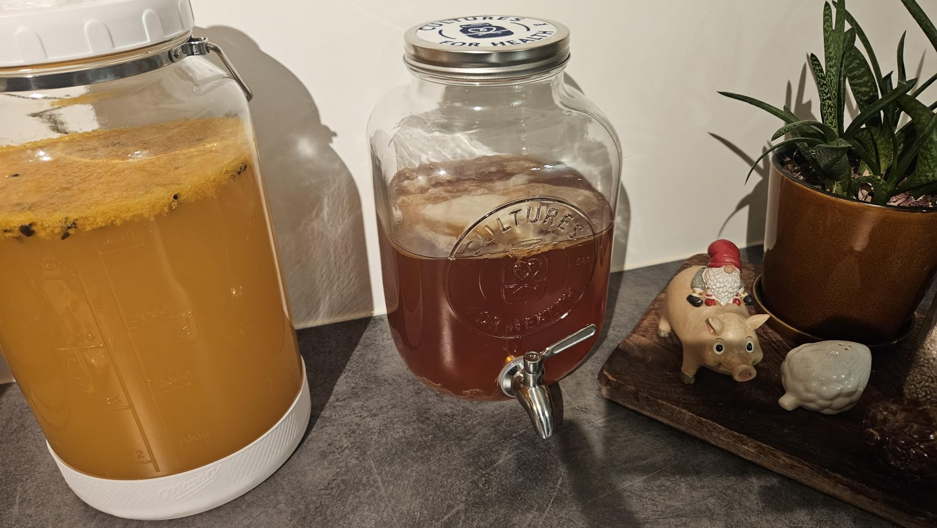 Cultures for Health Continuous Kombucha Brewing Jar with Spigot | 5 Liter Glass Jar with Spout for DIY Fermentation | Long Term Kombucha SCOBY Hotel Jar | Daily Kombucha Tea Probiotic Drink Dispenser customer photo 2