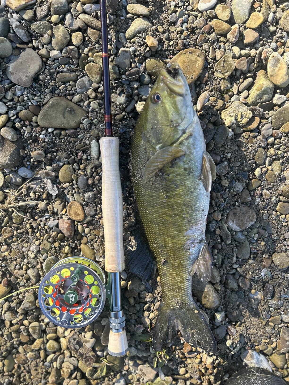 Aventik Heritage Fly Fishing Rod with Rod Tube | Medium fast action 7/8/9ft; IM8 carbon blank; US ALPS components customer photo 1