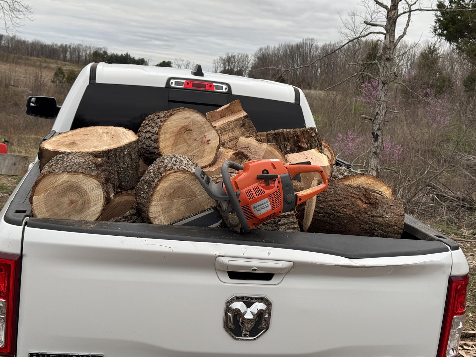 Husqvarna 460 Rancher Gas Powered Chainsaw, 60.3-cc 3.6-HP, 2-Cycle X-Torq Engine, 24 Inch Chainsaw with Automatic Adjustable Oil Pump, For Wood Cutting, Tree Trimming and Land Clearing, Gifts For Men customer photo 2