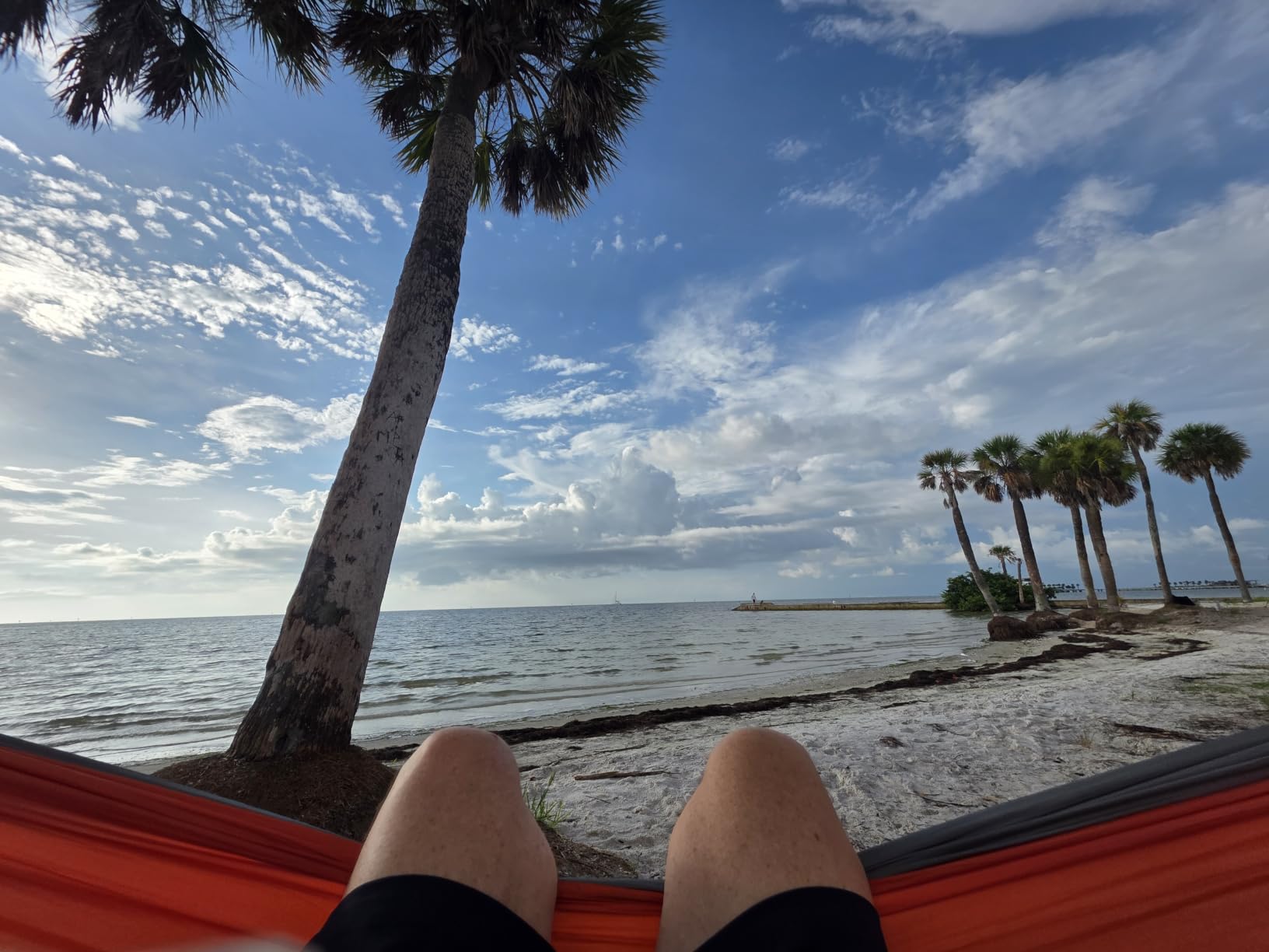 Wise Owl Outfitters Camping Hammock - up to 500lbs Portable Hammock with Tree Straps - Travel, Backpacking, Hiking, Outdoors Camping Gear - Single or Double customer photo 1
