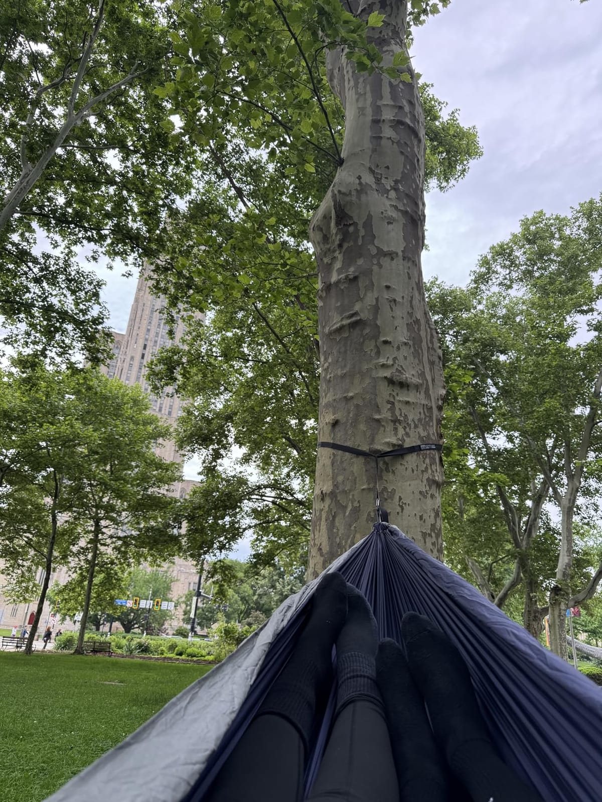 Wise Owl Outfitters Camping Hammock - up to 500lbs Portable Hammock with Tree Straps - Travel, Backpacking, Hiking, Outdoors Camping Gear - Single or Double customer photo 2
