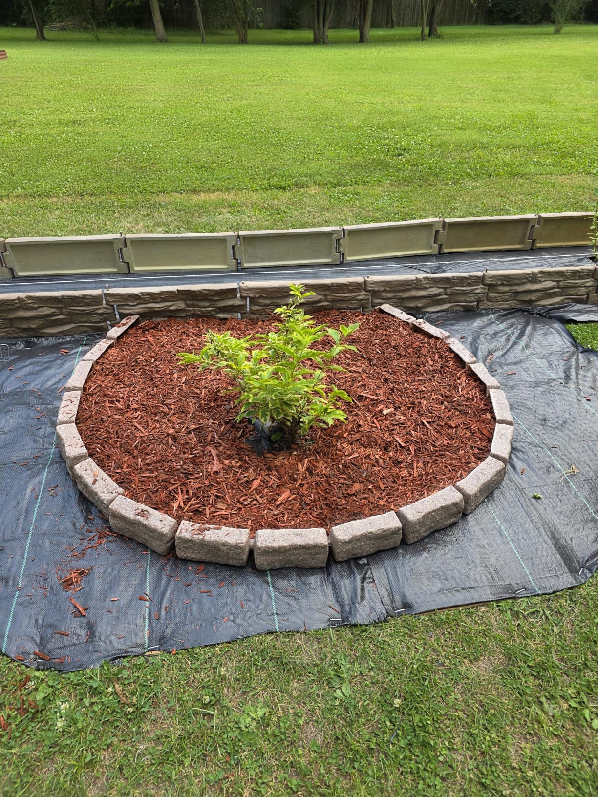 Landscape Edging | Garden Edging Border | Polyrock Bricks for Lawn Edging, Flower beds, Pathways & Yard Edging - 1 Pack | Each Section Has 6 Bricks 48