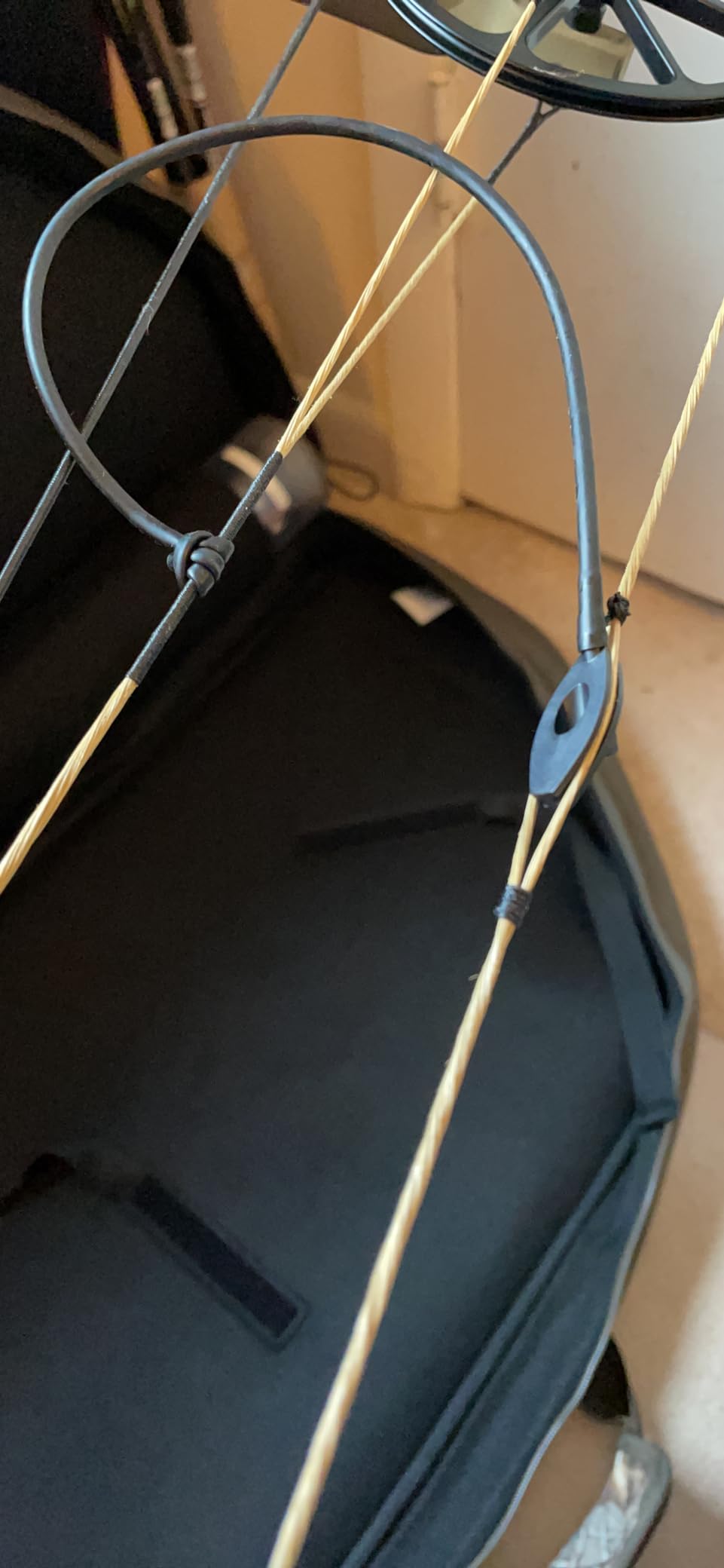 Bear Adapt RTH customer photo 1
