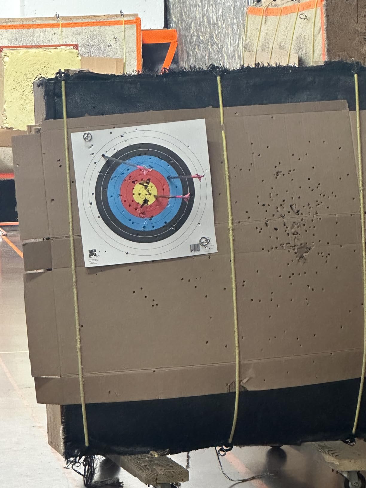 Bear Archery Royale Ready to Hunt Compound Bow Archery Set customer photo 1