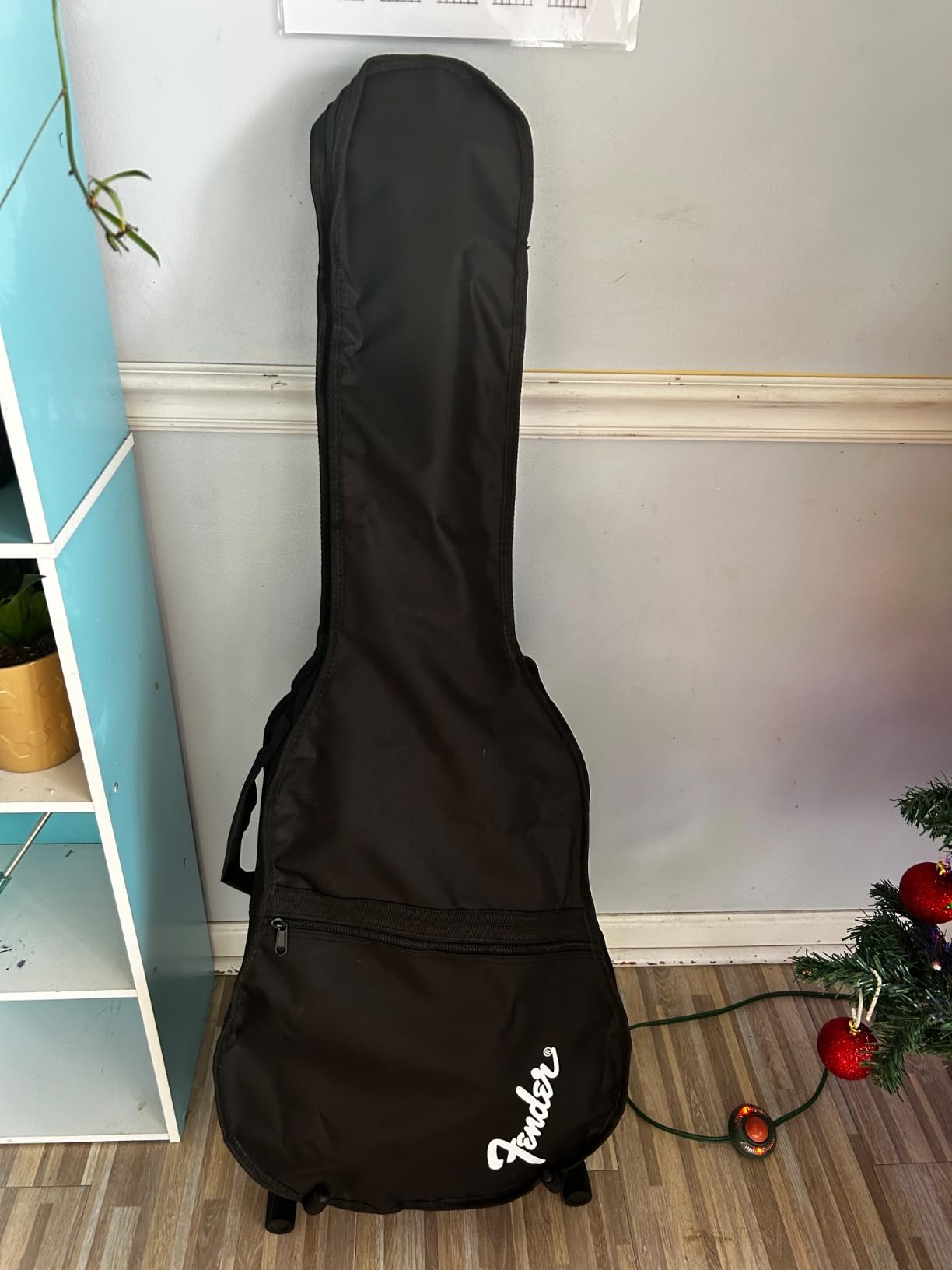 Fender Dreadnought Acoustic Guitar - Natural Bundle with Gig Bag, Tuner, Strings, Picks, and Austin Bazaar Instructional DVD customer photo 2