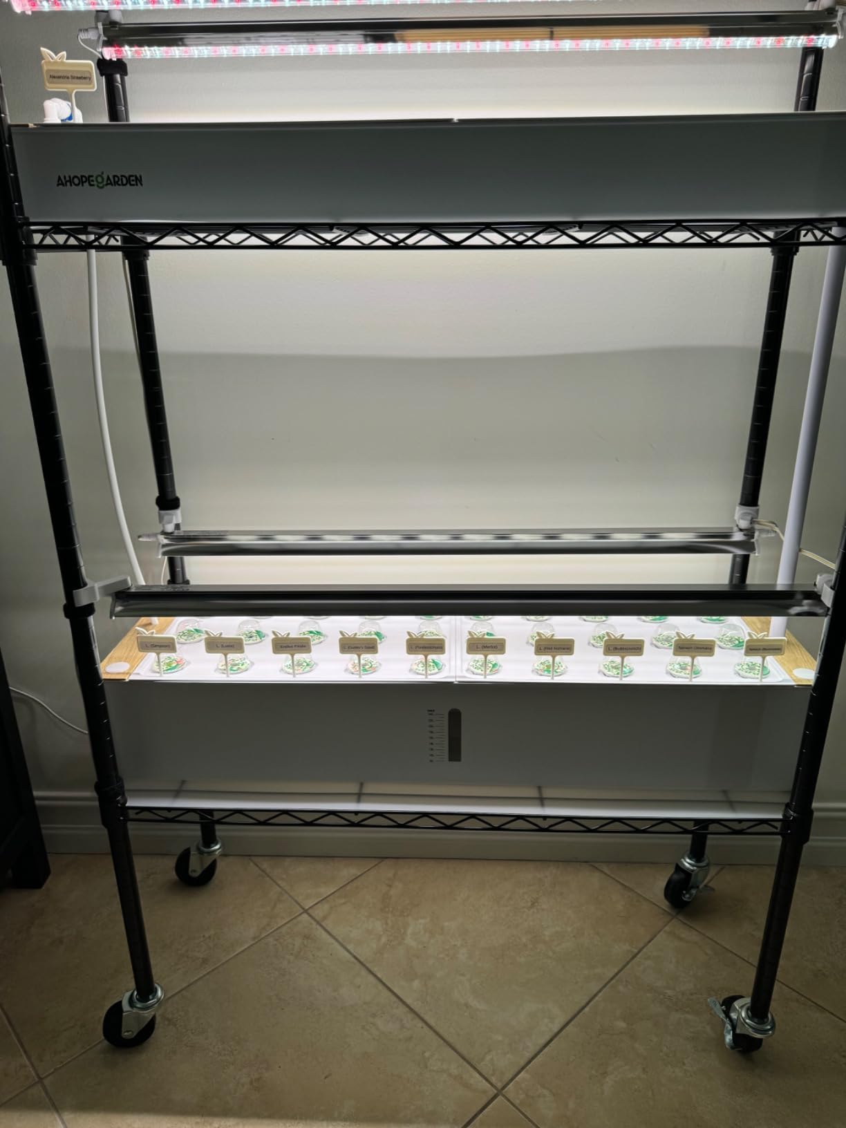 Ahopegarden Indoor Garden Hydroponics Growing System Kit: 60 Pods Indoor Herb Garden with LED Grow Light - Plant Germination Kit, 32L Large Capacity Hydroponic Tower for Vegetables Fruits Flowers customer photo 2