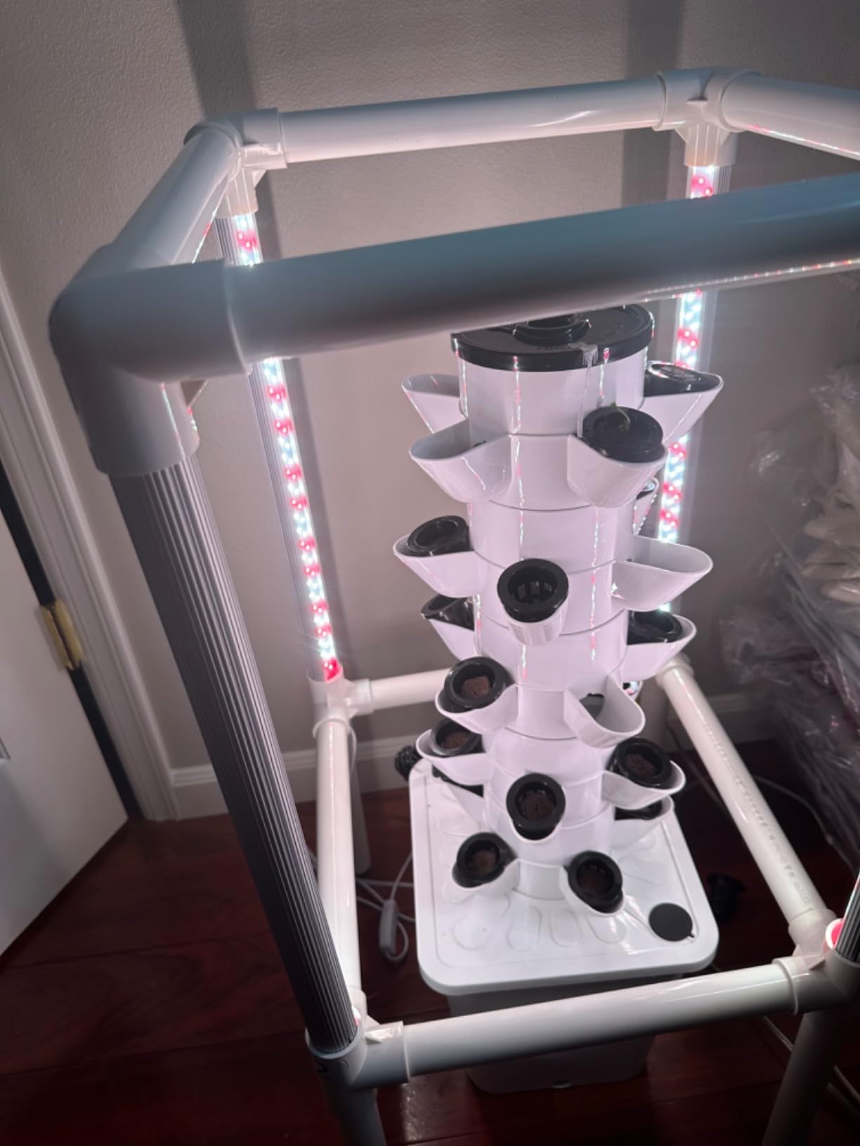 SJZX Hydroponics Growing System, Hydroponic Tower with Full-Spectrum Grow Lights, 5/14 Tiers Indoor Outdoor Garden Planter, Vertical Home Gardening Germination Kits for Vegetables, Fruits, Herb (5L6H) customer photo 2