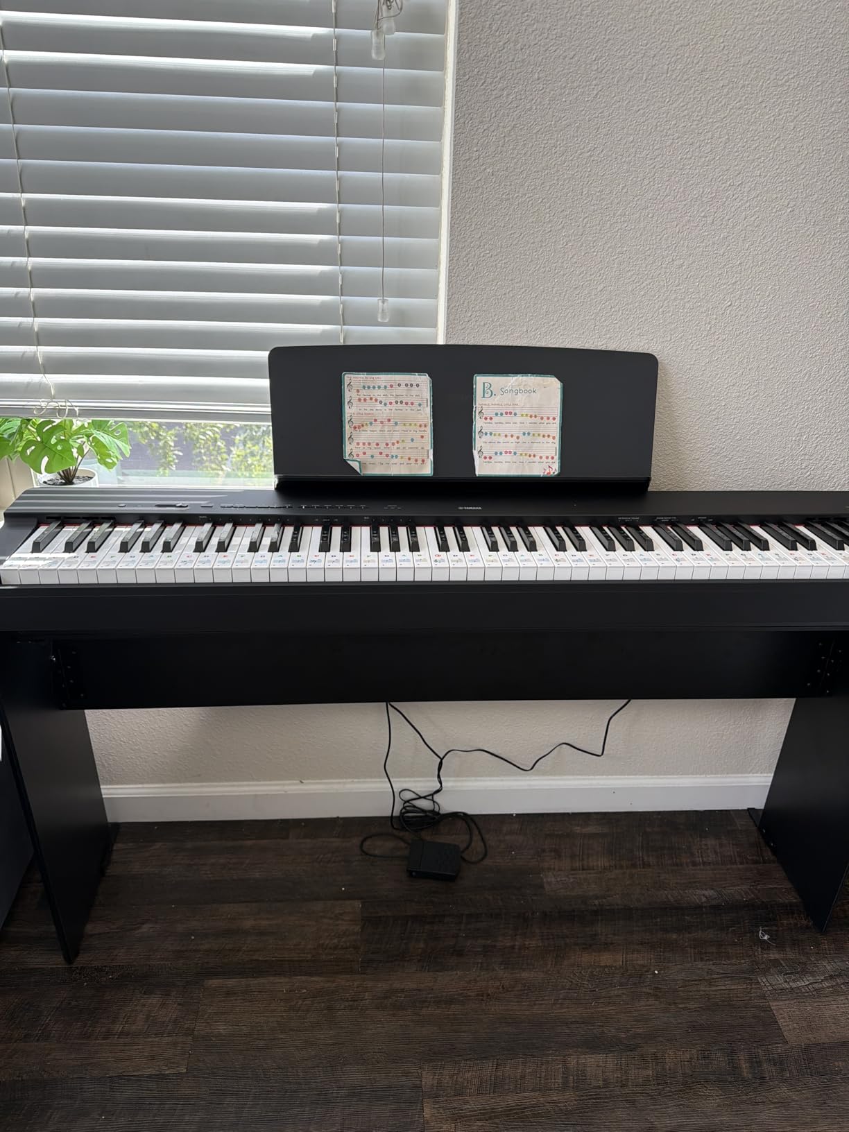 Yamaha P225 88-Key Digital Piano with Weighted Keys, Portable Design, Keyboard, Music Rest, Sustain Foot Switch, and Built-In Speakers, Black (P225B) customer photo 2