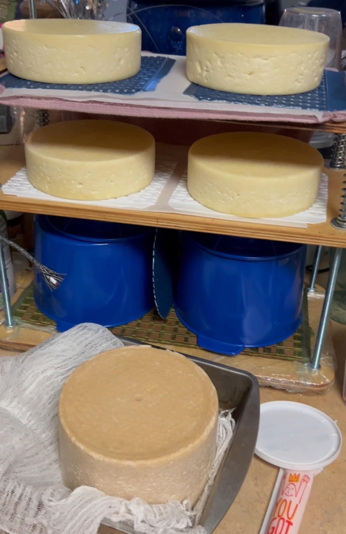 Wooden Cheese Press For Cheese Making Supplies 16 In Plywood 1/2 in Thick - Cheese Making Kit With Wooden Cheese Press and 2 Cheese Molds 1/2 Gal, Cheesecloth, Springs and Measuring Scale Included customer photo 1