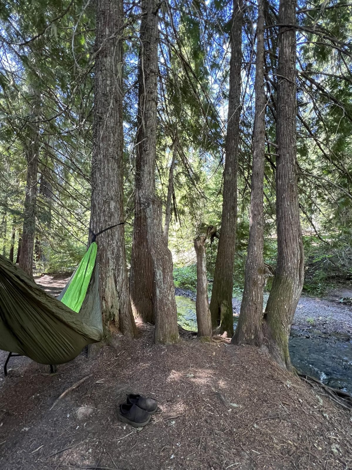 GORILLA GRIP Travel Camping Hammock, Durable Tree Straps, Single, Blue customer photo 1